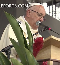 pope palm.jpg pope palm.jpg